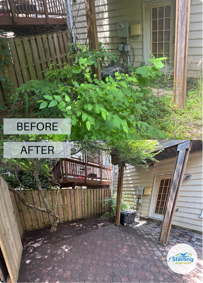 Before and After Sample