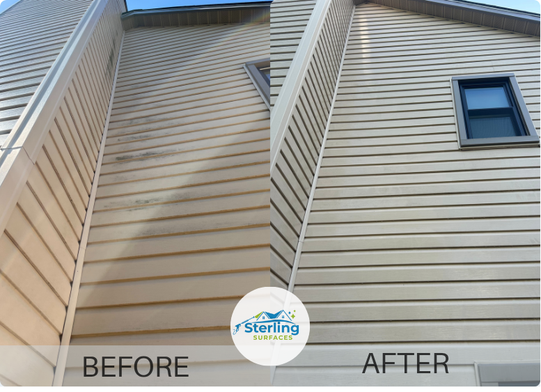 Before and After Sample